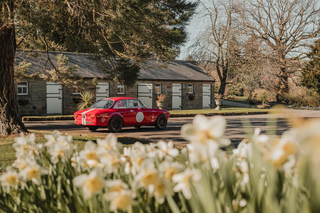 1965 Alfa Romeo Giulia Sprint GT - Image 19 of 31