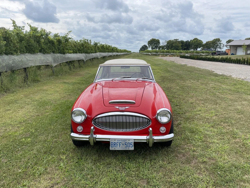 1965 Austin-Healey 3000 Mark III - Image 4 of 31