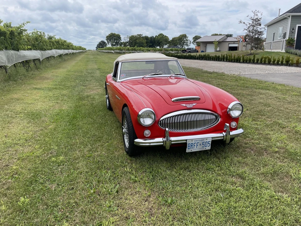 1965 Austin-Healey 3000 Mark III - Image 3 of 31
