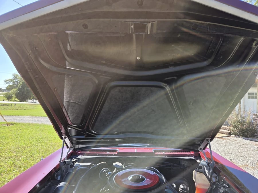 1965 Buick Riviera 1st Gen - Image 29 of 31