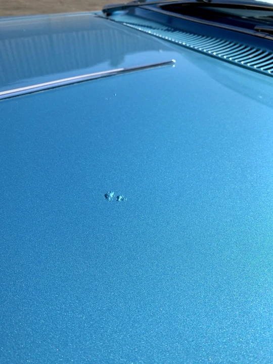 1965 Buick Wildcat - Image 31 of 31