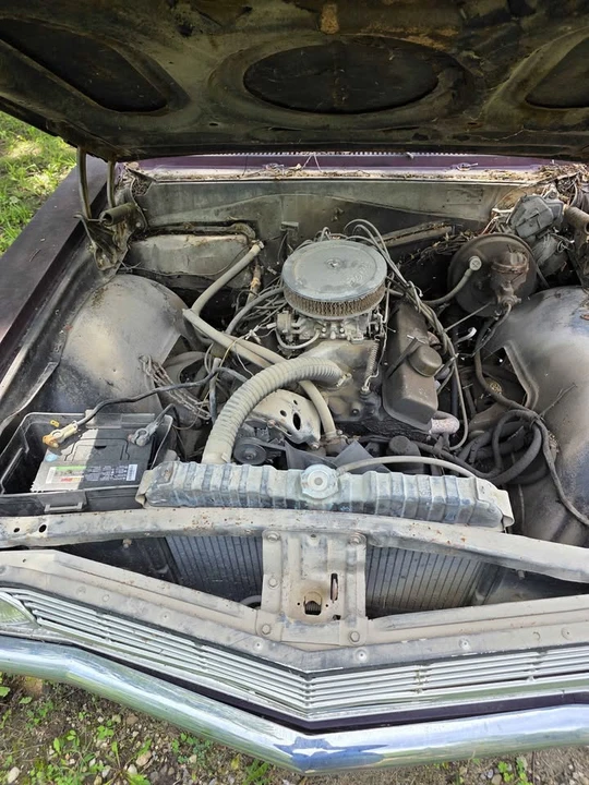 1965 Chevrolet C/K 1st Gen - Image 9 of 9