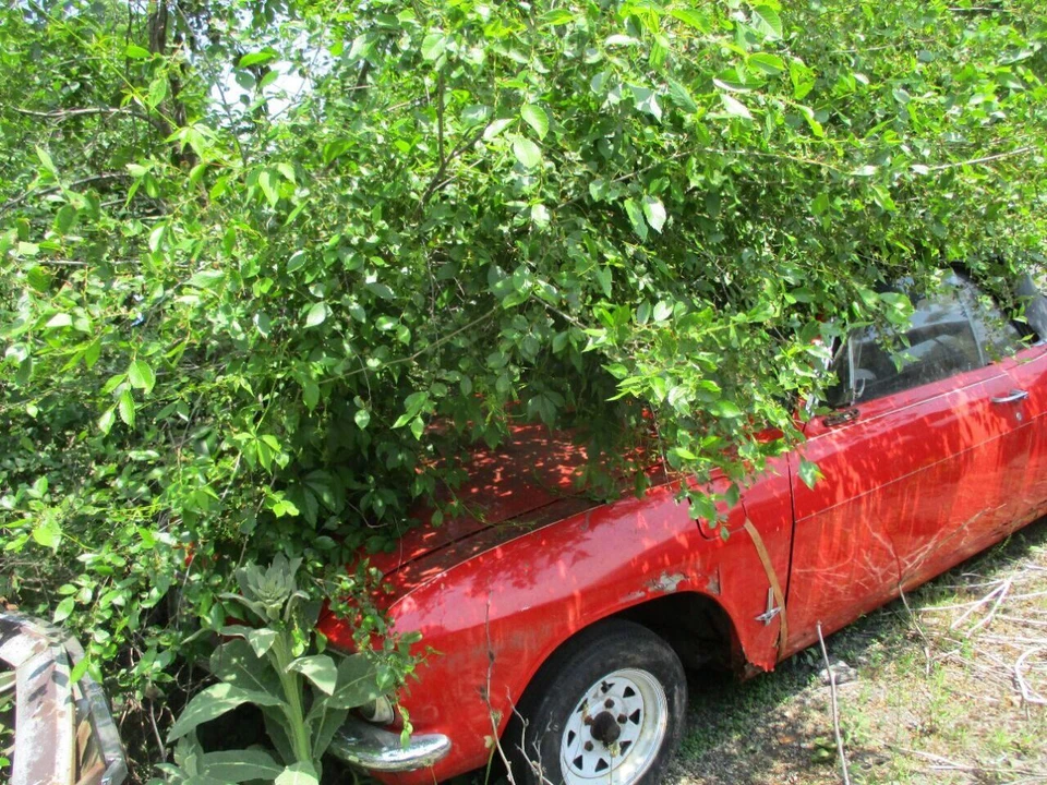 1965 Chevrolet Corvair 2nd Gen - Image 3 of 7