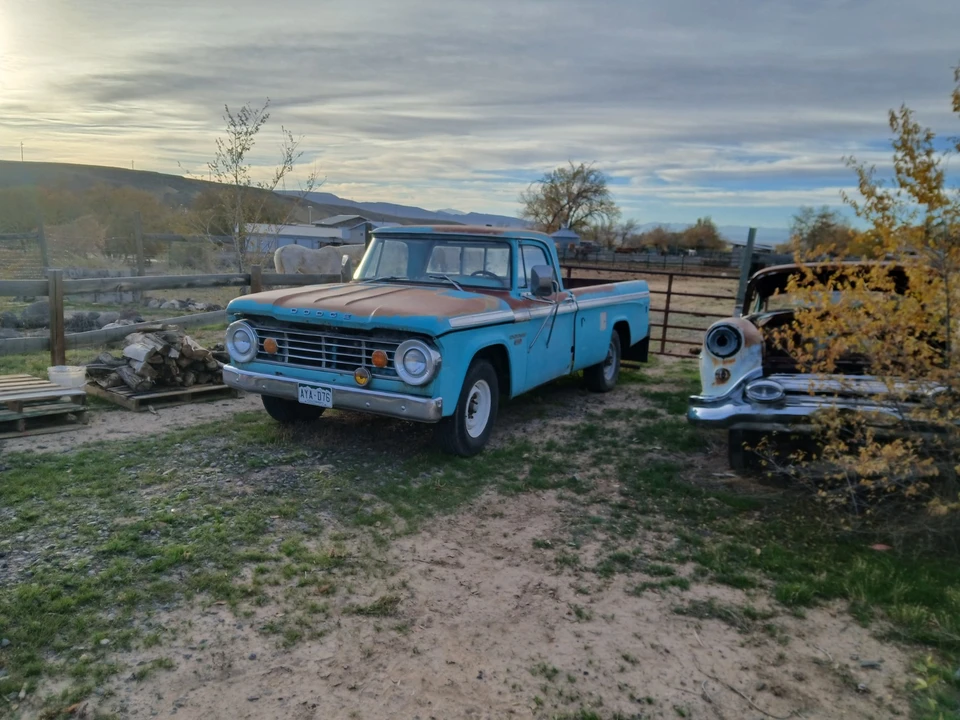 1965 Dodge D Series - Image 14 of 20