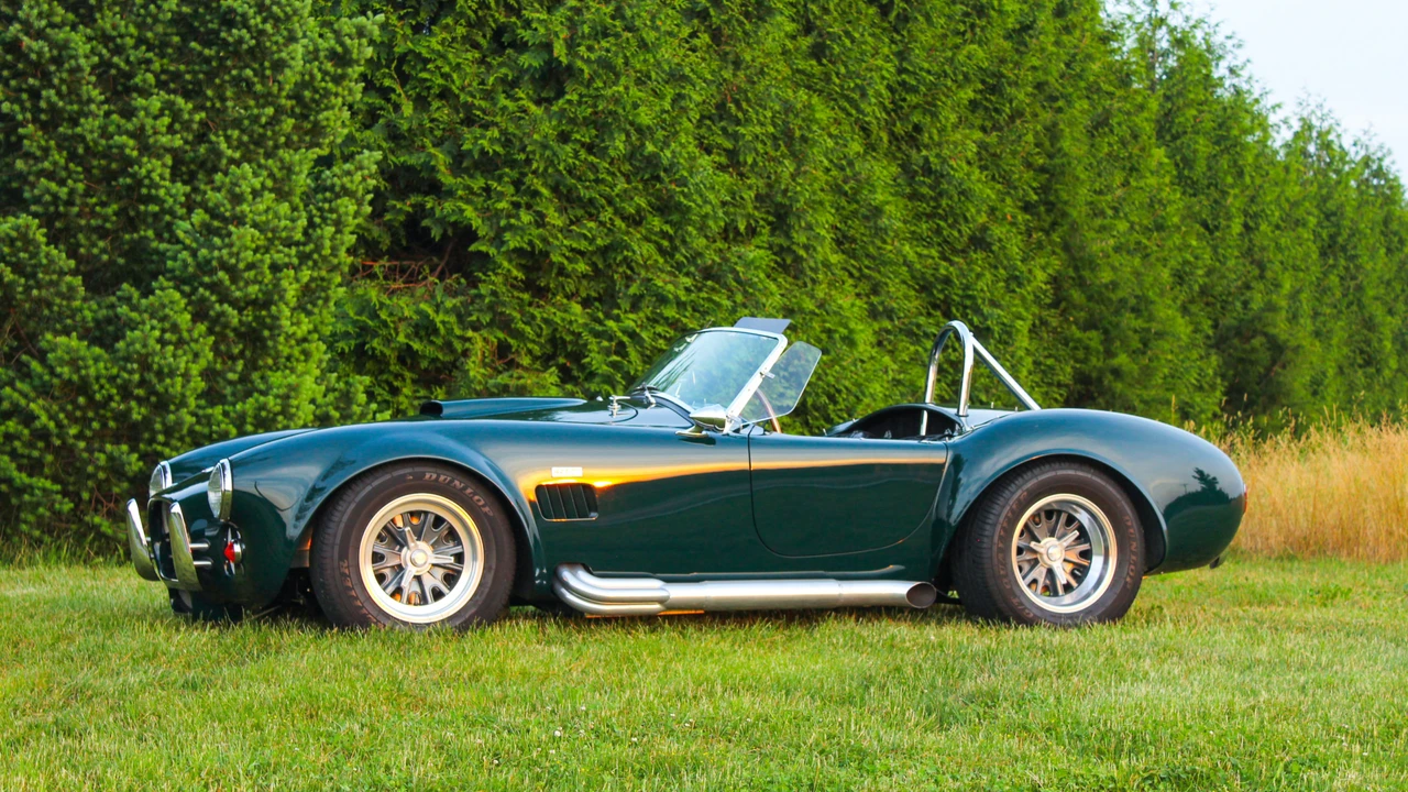 1965 Shelby Cobra Replica - Image 6 of 31