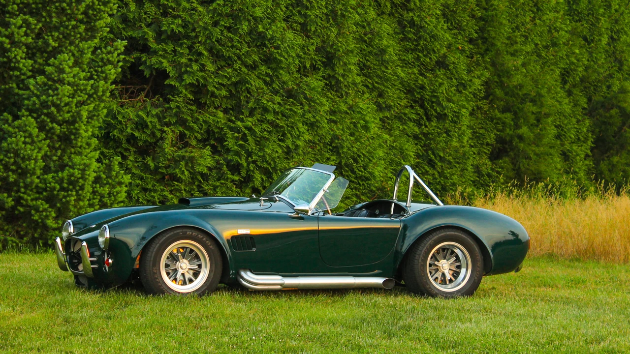 1965 Shelby Cobra Replica - Image 3 of 31