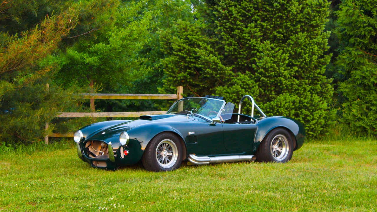 1965 Shelby Cobra Replica - Image 5 of 31