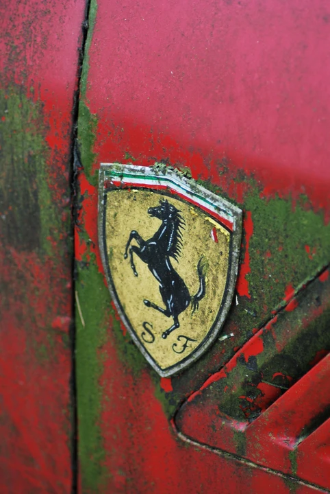 1965 Ferrari 330 GT 2+2 - Image 9 of 21