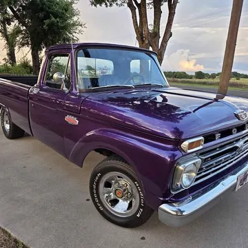 1965 Ford F100