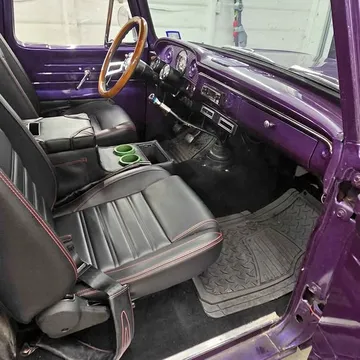 1965 Ford F100