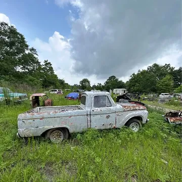 1965 Ford F100