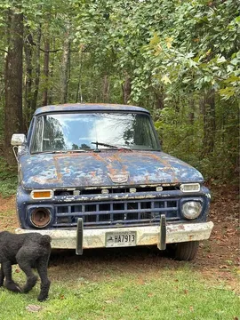 1965 Ford F100