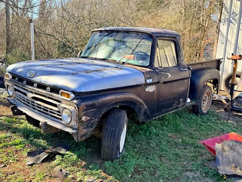 1965 Ford F100