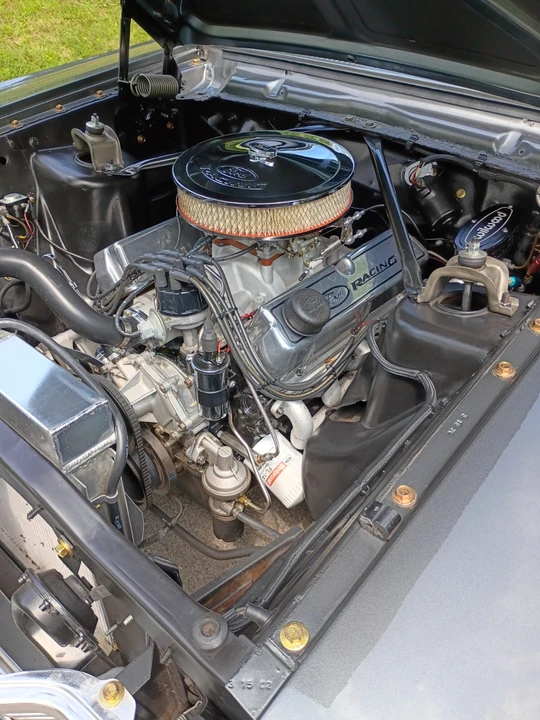 1965 Ford Fairlane 4th Gen - Image 10 of 10