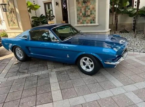 1965 Ford GT350 Tribute