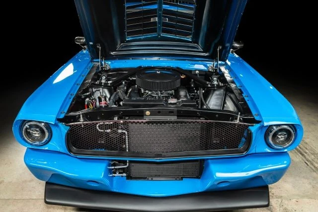 1965 Ford Mustang 1st Gen (1964.5-1966) - Image 12 of 31