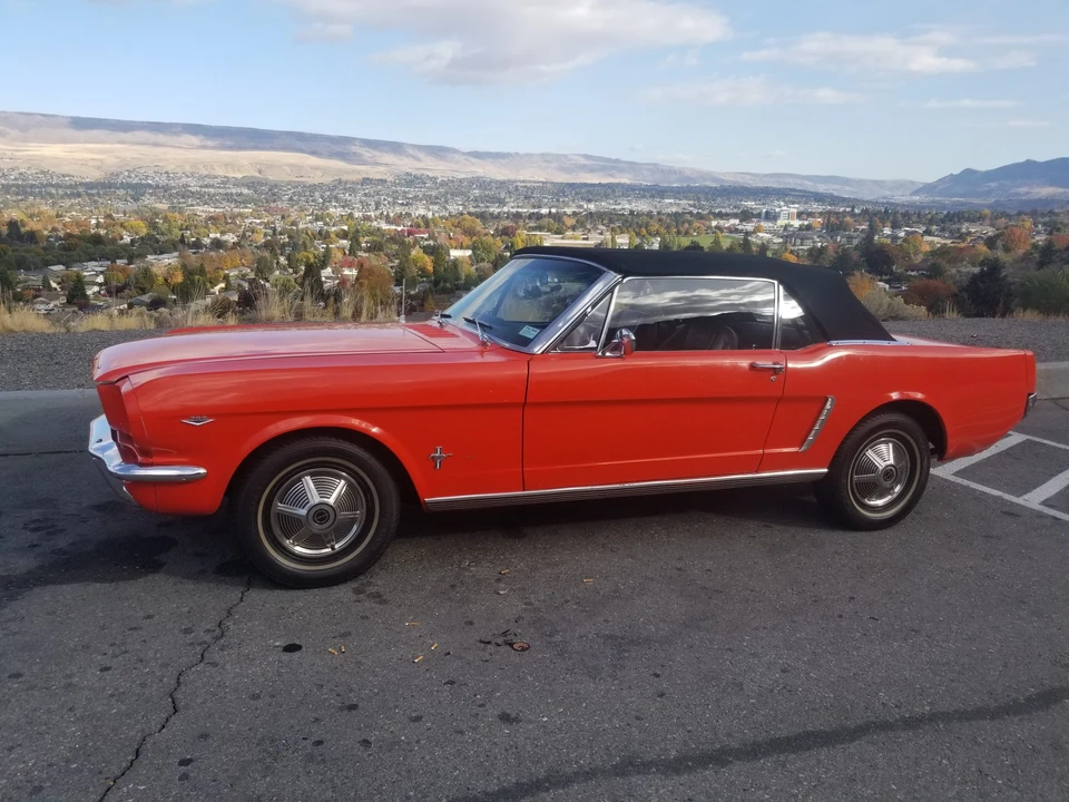 1965 Ford Mustang 1st Gen (1964.5-1966) - Image 16 of 31