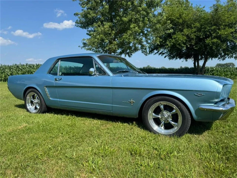 1965 Ford Mustang 1st Gen (1964.5-1966) - Image 14 of 31
