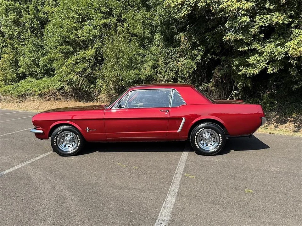 1965 Ford Mustang 1st Gen (1964.5-1966) - Image 2 of 31