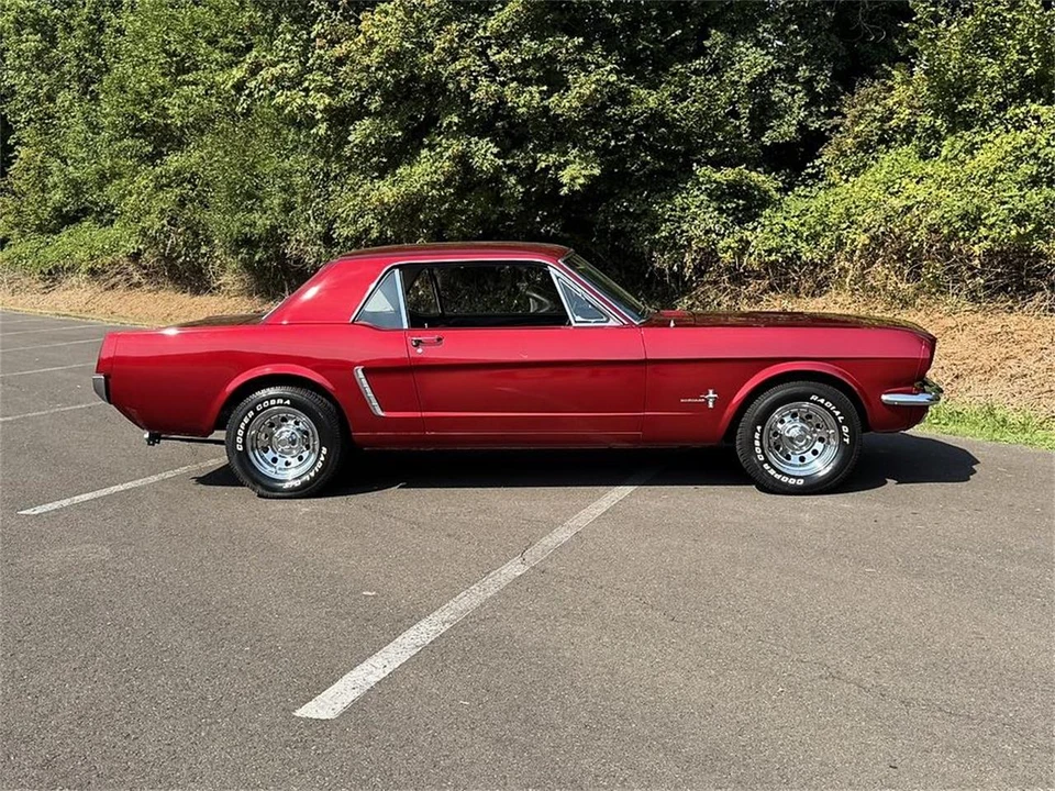 1965 Ford Mustang 1st Gen (1964.5-1966) - Image 8 of 31