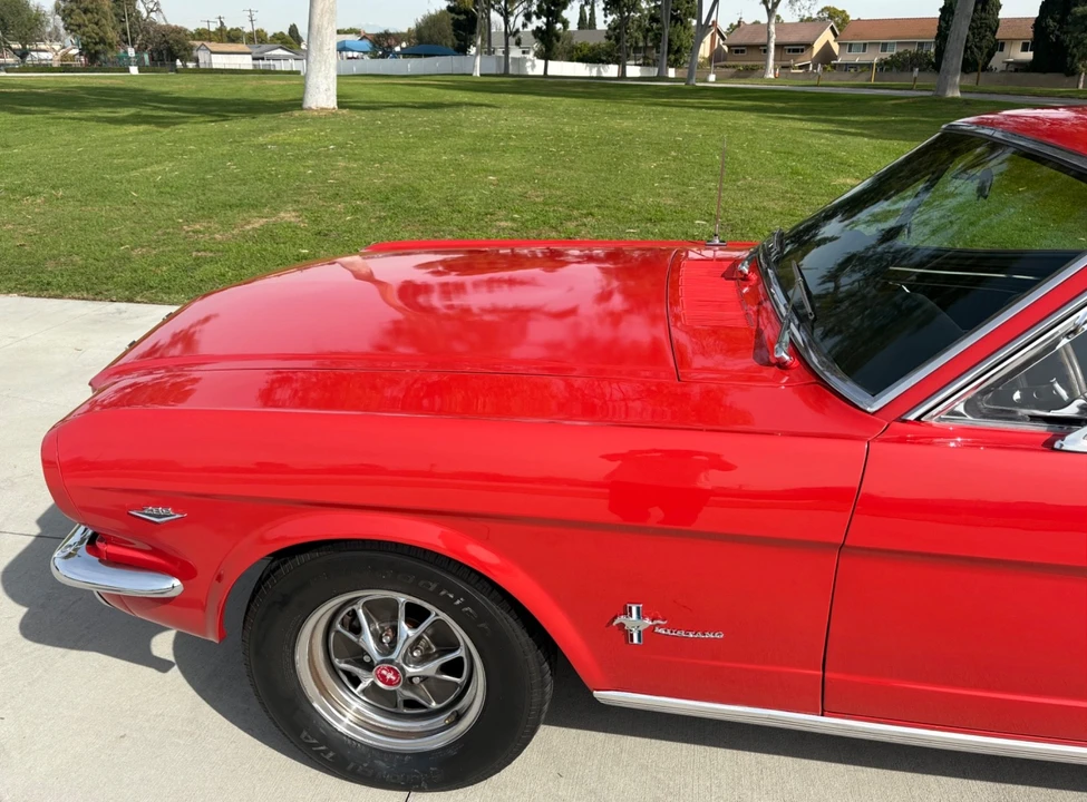 1965 Ford Mustang 1st Gen (1964.5-1966) - Image 16 of 21