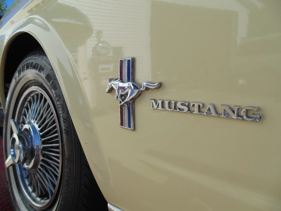 1965 Ford Mustang 1st Gen (1964.5-1966) - Image 4 of 22