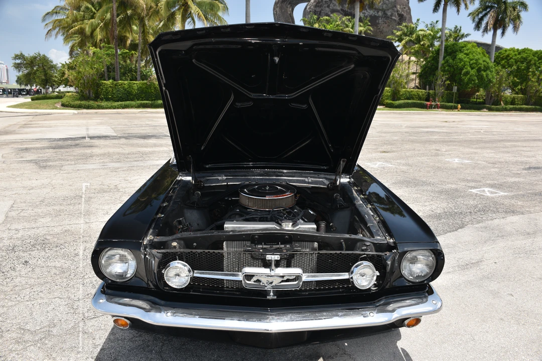 1965 Ford Mustang 1st Gen (1964.5-1966) - Image 19 of 20