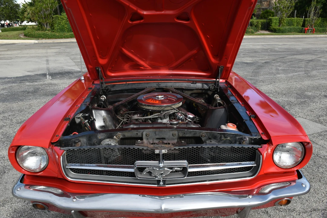 1965 Ford Mustang 1st Gen (1964.5-1966) - Image 22 of 24