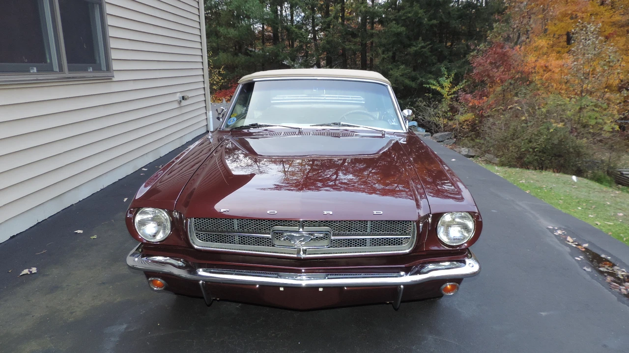 1965 Ford Mustang 1st Gen (1964.5-1966) - Image 3 of 31