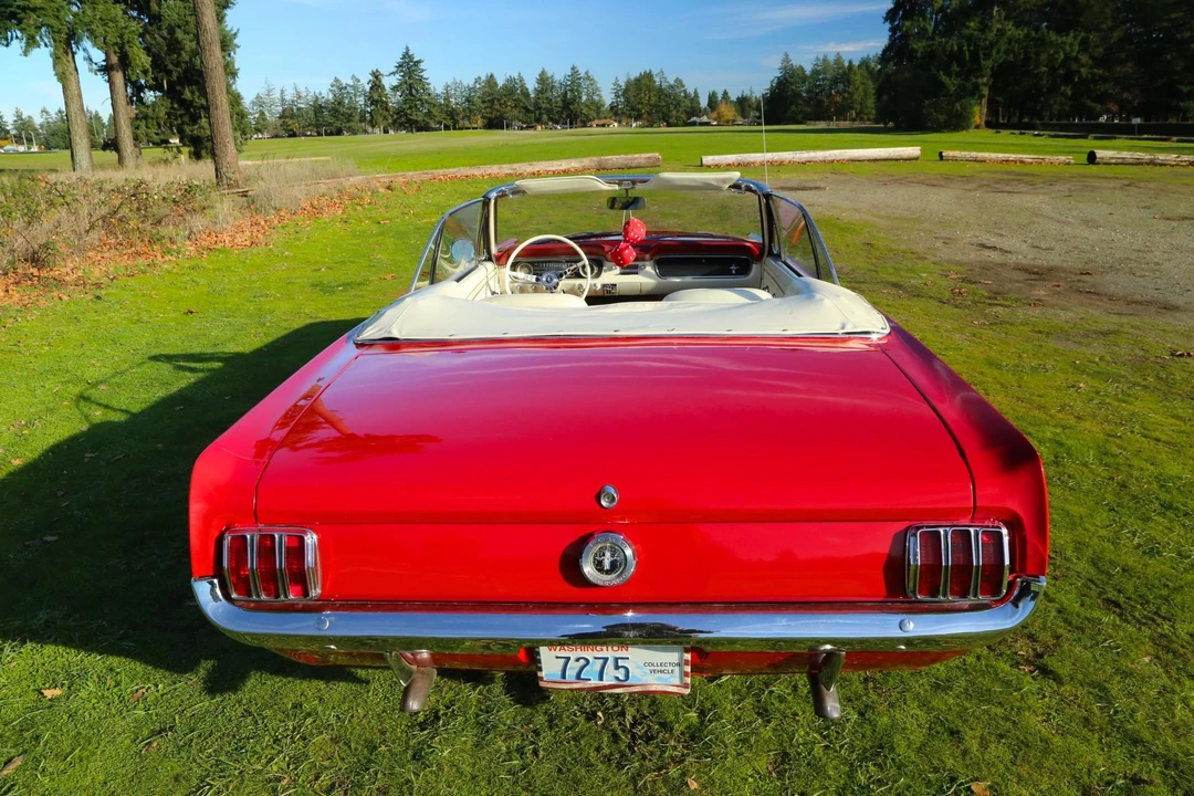 1965 Ford Mustang 1st Gen (1964.5-1966) - Image 30 of 31