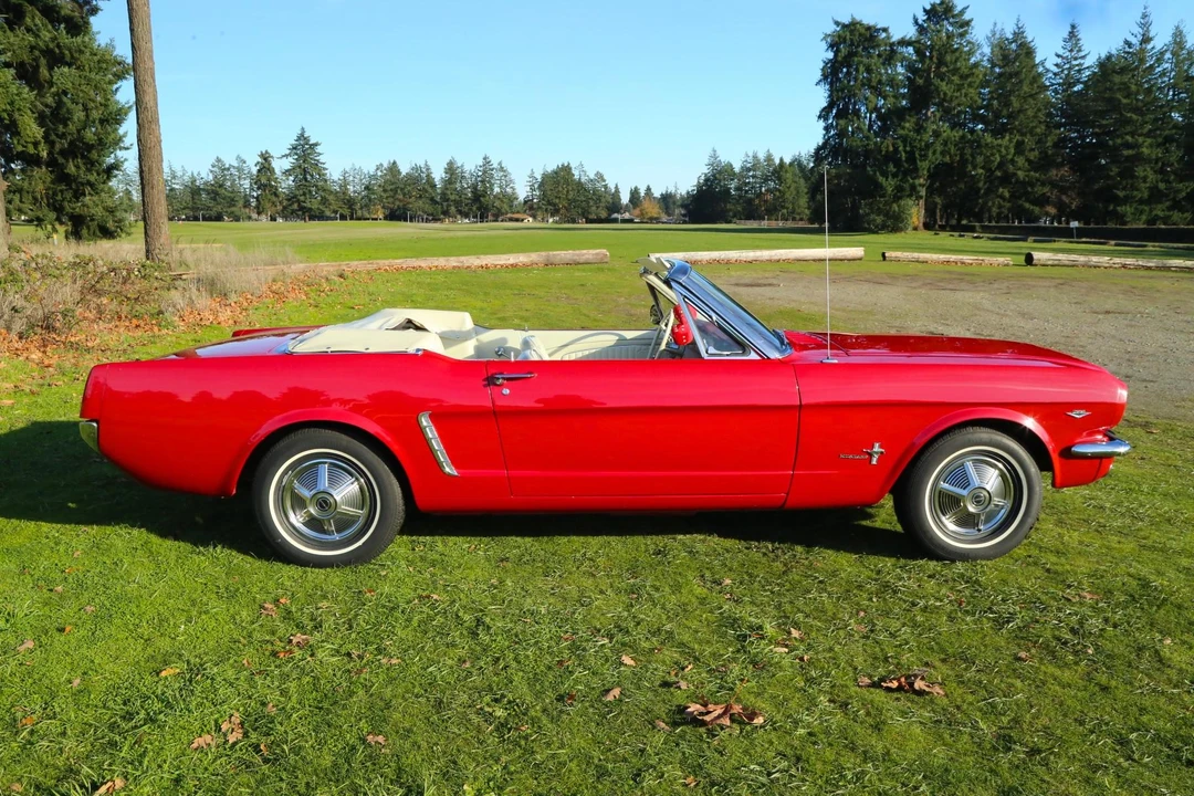1965 Ford Mustang 1st Gen (1964.5-1966) - Image 19 of 31