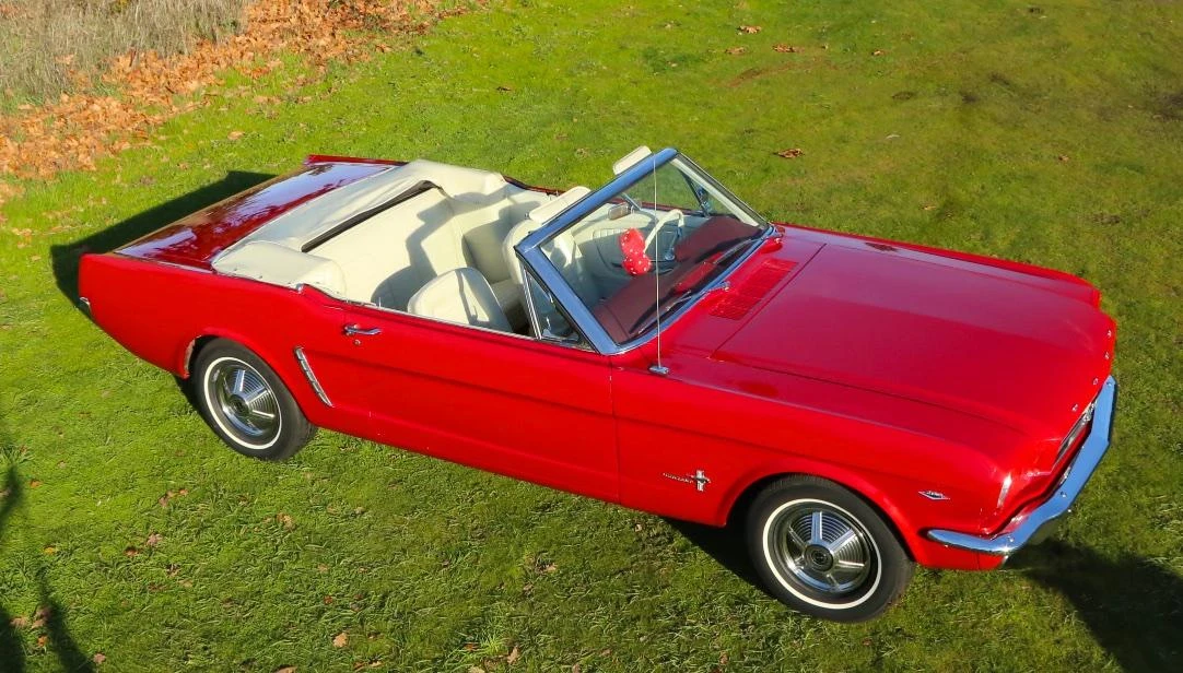 1965 Ford Mustang 1st Gen (1964.5-1966) - Image 11 of 31