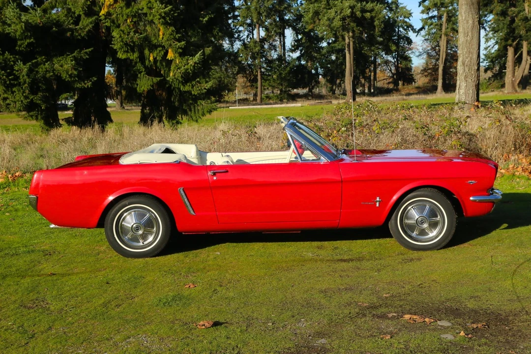 1965 Ford Mustang 1st Gen (1964.5-1966) - Image 14 of 31