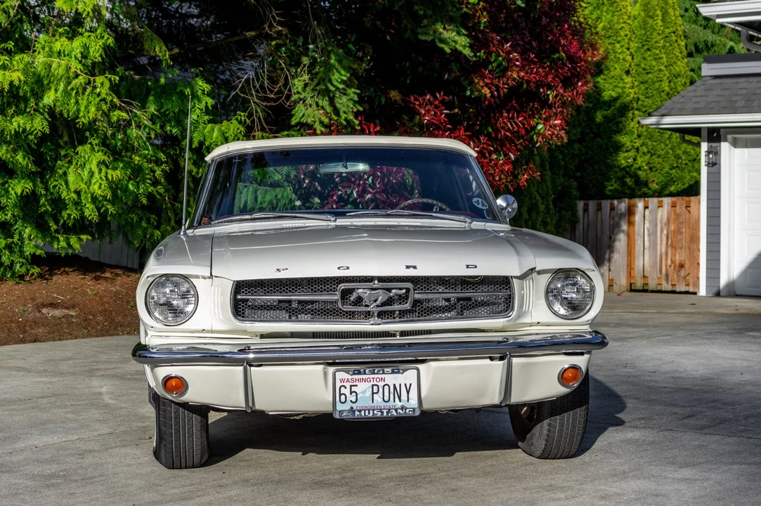 1965 Ford Mustang 1st Gen (1964.5-1966) - Image 18 of 31