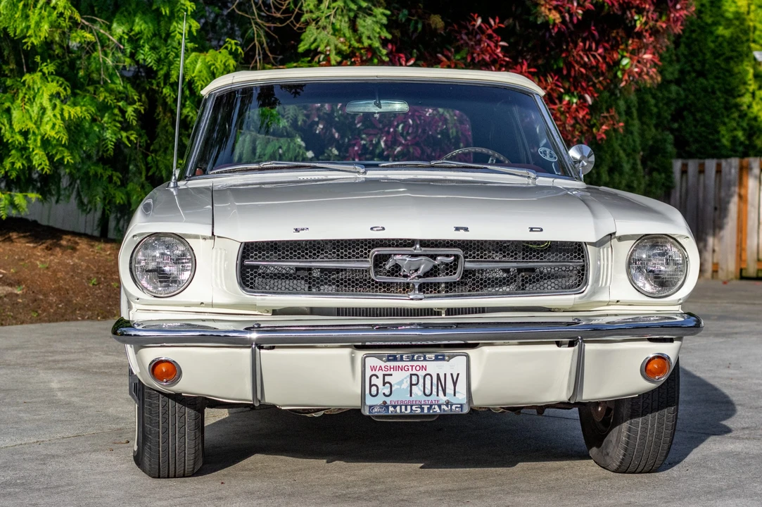 1965 Ford Mustang 1st Gen (1964.5-1966) - Image 19 of 31