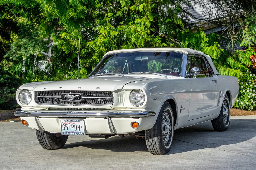 1965 Ford Mustang 1st Gen (1964.5-1966) - Image 3 of 31