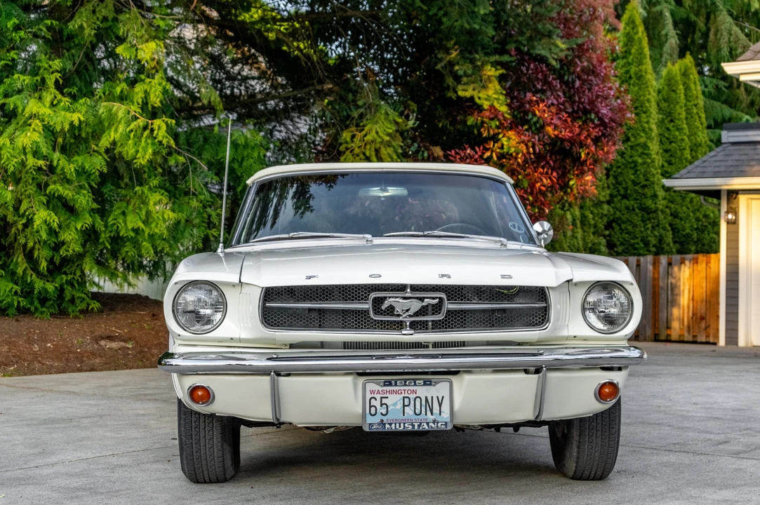 1965 Ford Mustang 1st Gen (1964.5-1966) - Image 20 of 31