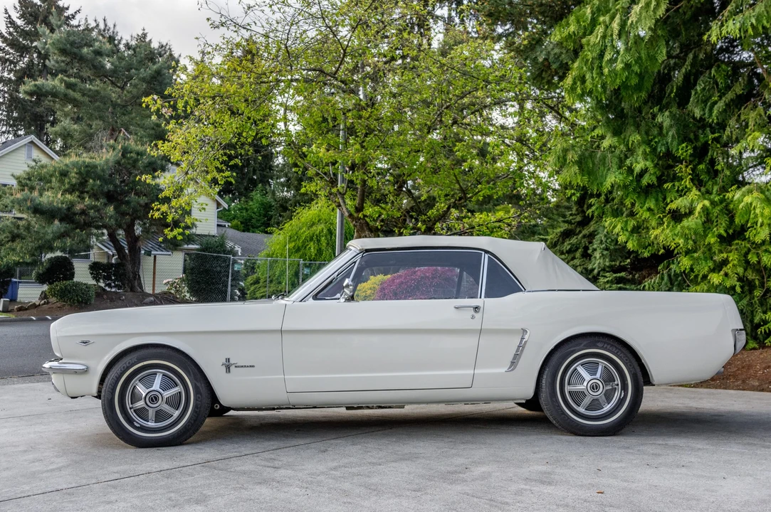 1965 Ford Mustang 1st Gen (1964.5-1966) - Image 4 of 31