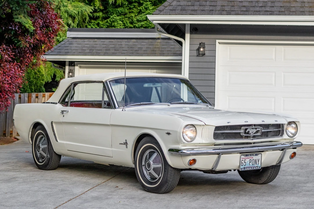 1965 Ford Mustang 1st Gen (1964.5-1966) - Image 15 of 31