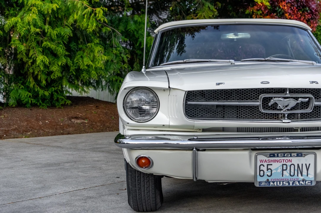 1965 Ford Mustang 1st Gen (1964.5-1966) - Image 30 of 31