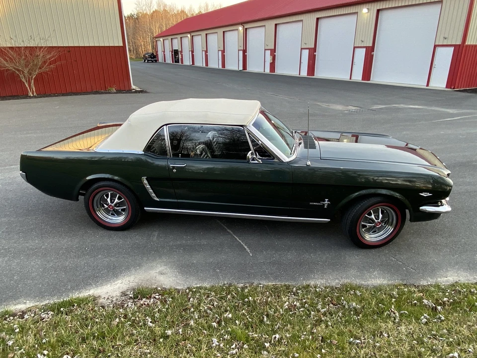 1965 Ford Mustang 1st Gen (1964.5-1966) - Image 14 of 31