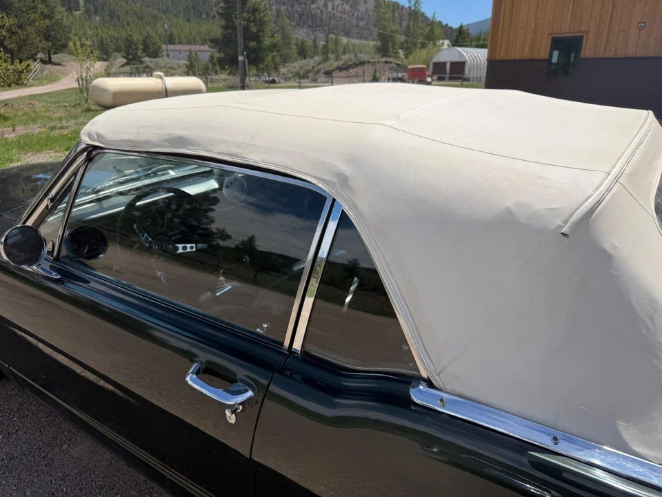 1965 Ford Mustang 1st Gen (1964.5-1966) - Image 16 of 31