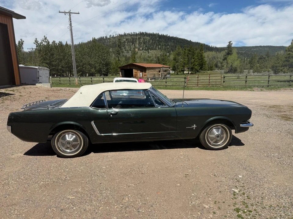 1965 Ford Mustang 1st Gen (1964.5-1966) - Image 5 of 31