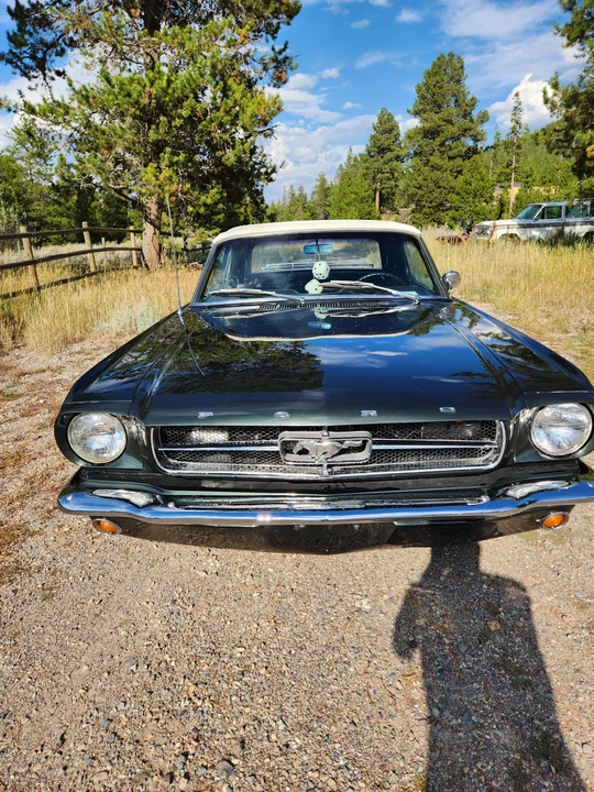 1965 Ford Mustang 1st Gen (1964.5-1966) - Image 8 of 31