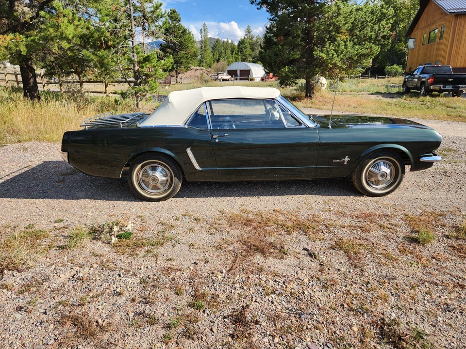 1965 Ford Mustang 1st Gen (1964.5-1966) - Image 10 of 31