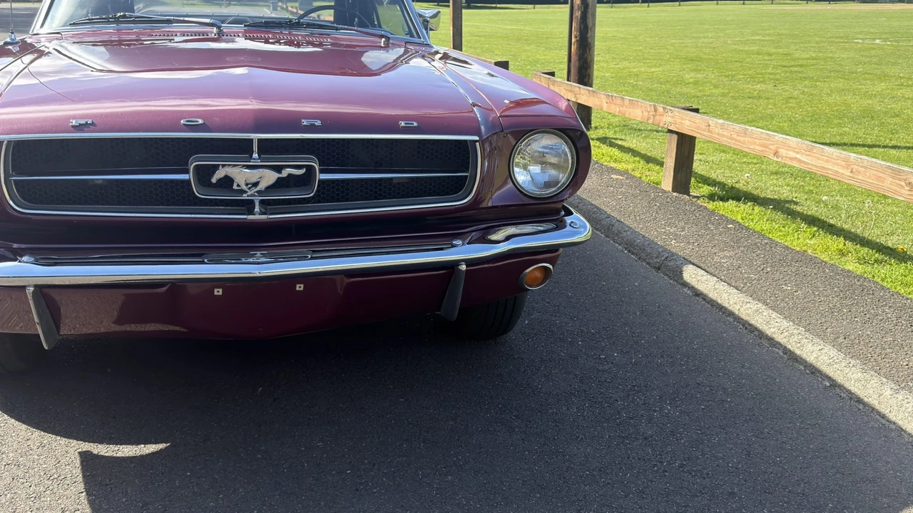 1965 Ford Mustang 1st Gen (1964.5-1966) - Image 26 of 31