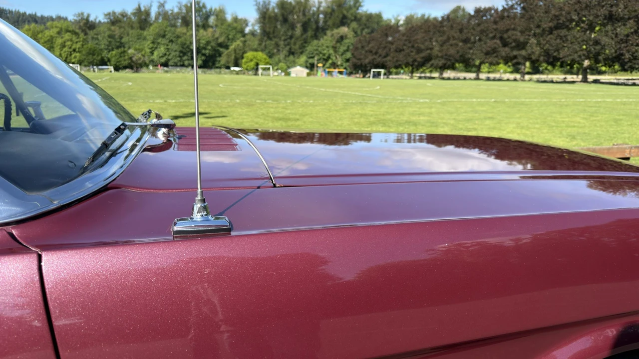 1965 Ford Mustang 1st Gen (1964.5-1966) - Image 31 of 31