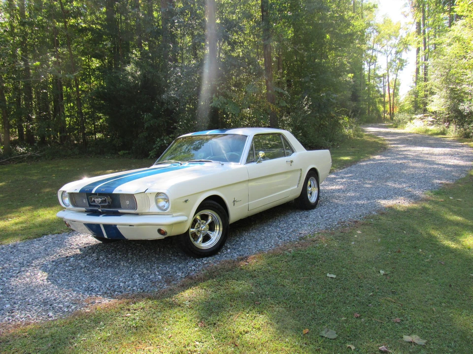 1965 Ford Mustang 1st Gen (1964.5-1966) - Image 12 of 31