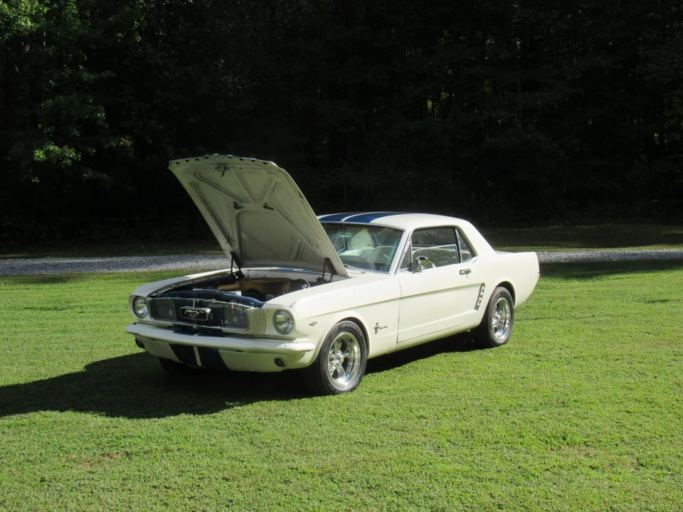 1965 Ford Mustang 1st Gen (1964.5-1966) - Image 31 of 31