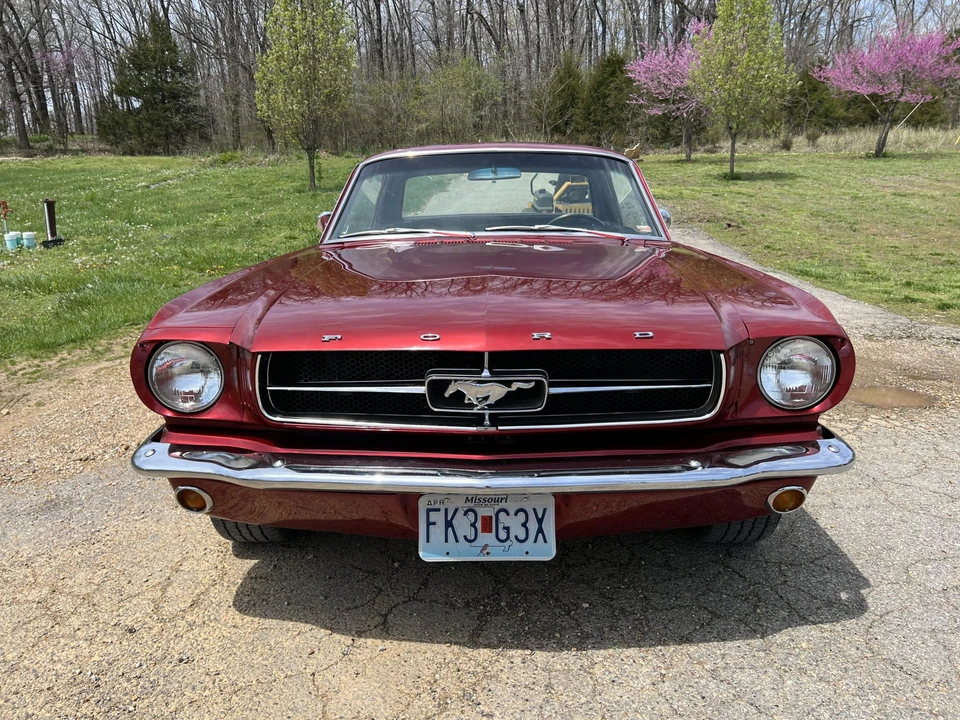 1965 Ford Mustang 1st Gen (1964.5-1966) - Image 6 of 31